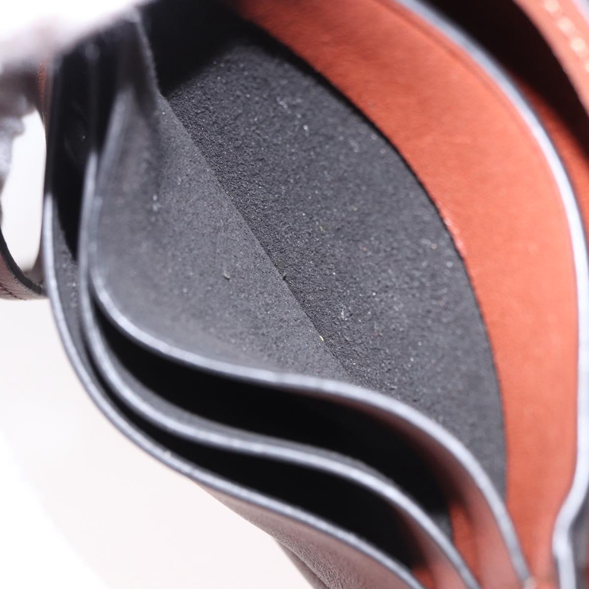 LOEWE × Studio Ghibli anagram Heel Pouch Haku Bag Leather Brown Auth 167385SM