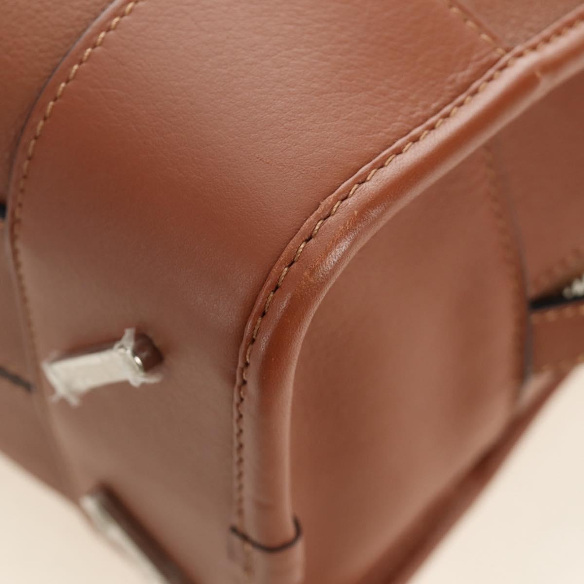 LOEWE × Studio Ghibli My Neighbor Totoro Amazona 28 Leather 2way Auth 167413SM