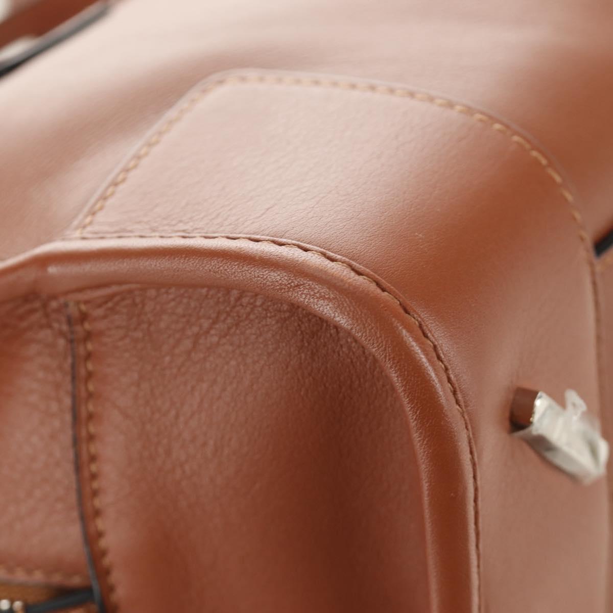 LOEWE × Studio Ghibli My Neighbor Totoro Amazona 28 Leather 2way Auth 167413SM