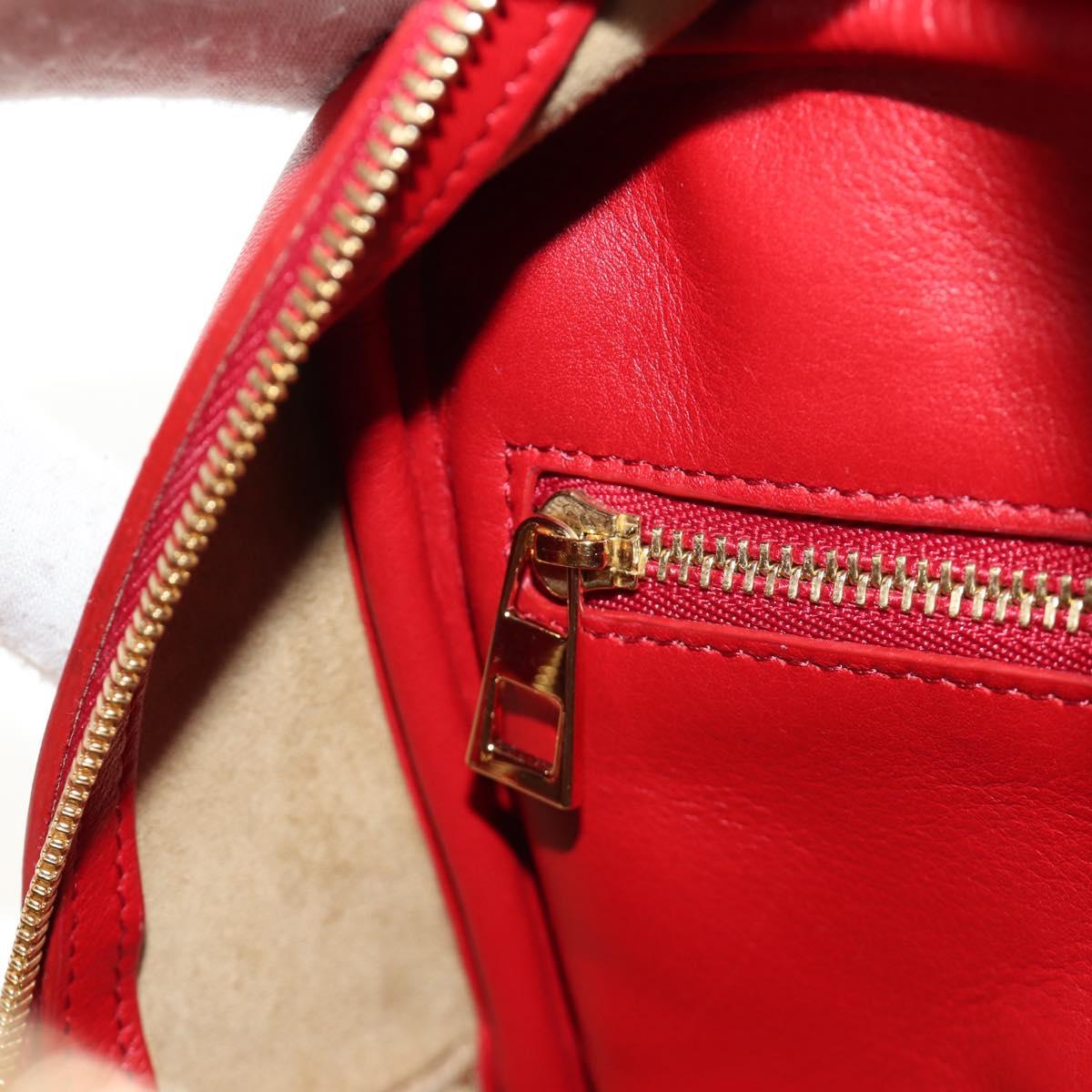LOEWE × Studio Ghibli Amazona 19 Baby Mouse Hand Bag Leather Red Auth 167438SM