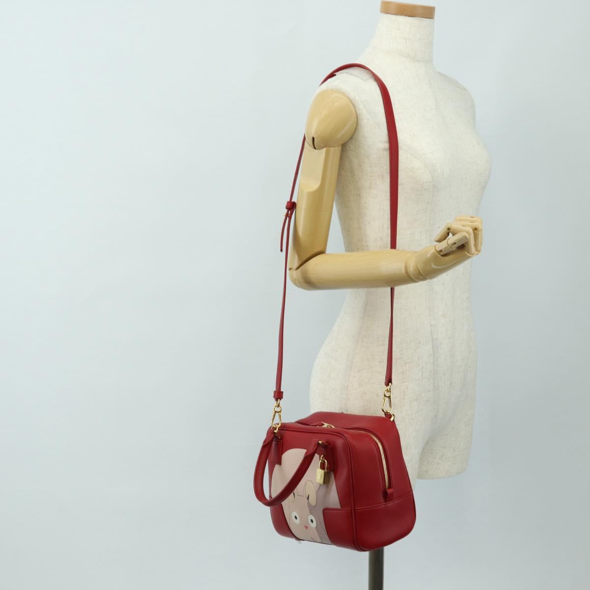 LOEWE × Studio Ghibli Amazona 19 Baby Mouse Hand Bag Leather Red Auth 167438SM