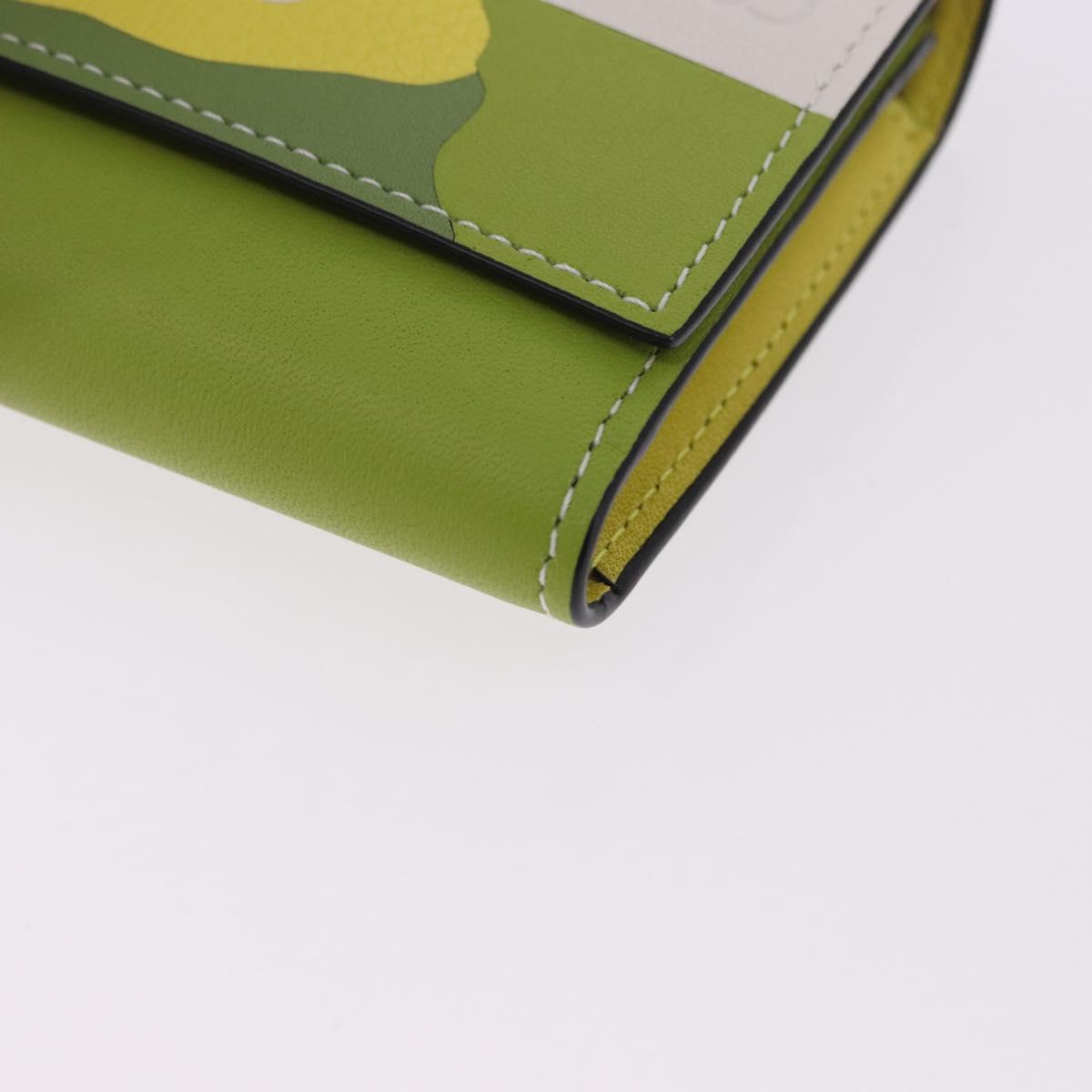 LOEWE x Studio Ghibli Spirited Away Ootori Sama Wallet Leather Auth 167499SM