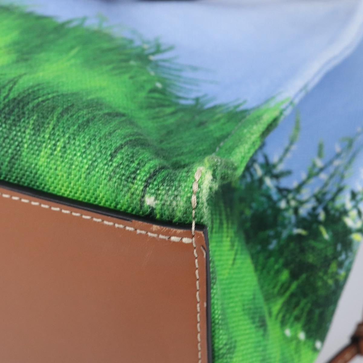 LOEWE x Ghibli My Neighbor Totoro Cushion Tote Bag Auth 167596SM