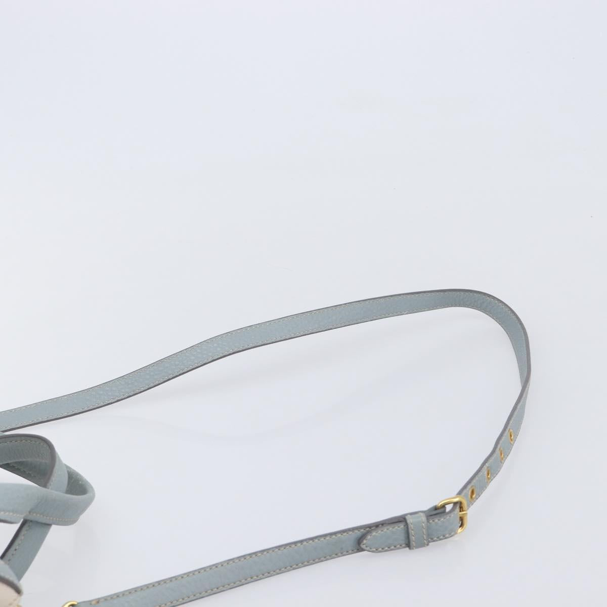 Miu Miu Hand Bag Leather 2way Light Blue Gold Auth 167870A