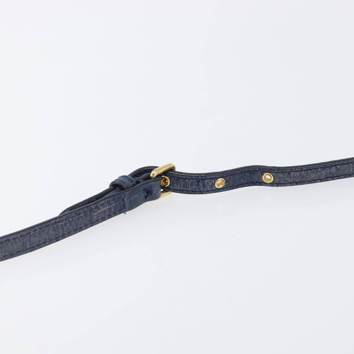 Miu Miu Shoulder Bag Leather Blue Gold Auth 167888A