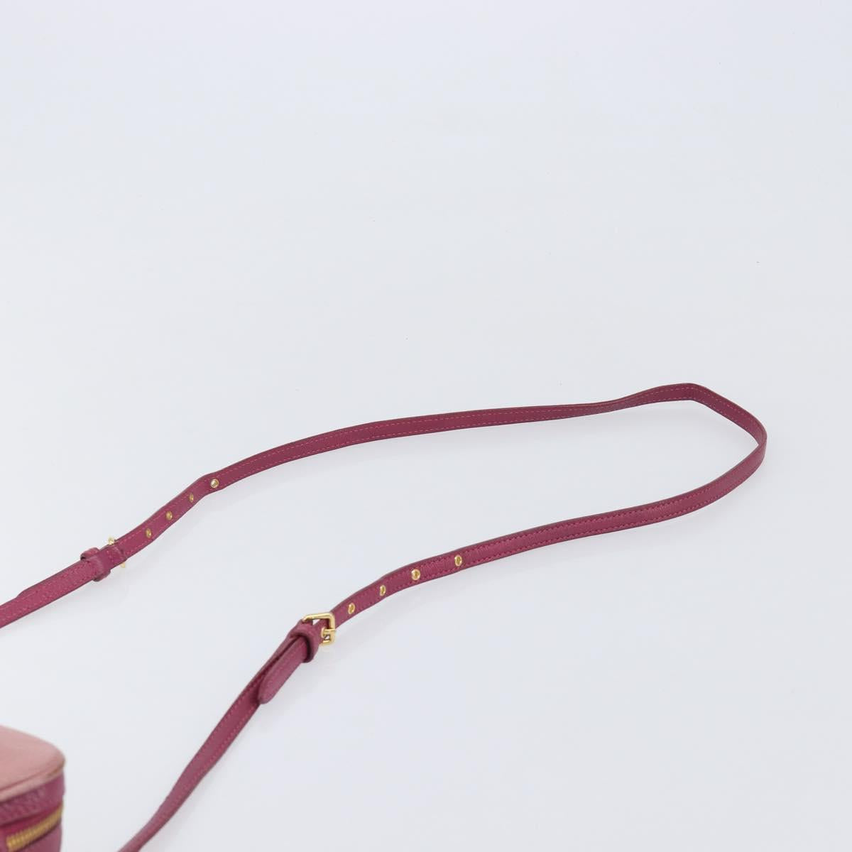 Miu Miu Shoulder Bag Leather Pink Gold Auth 167891A