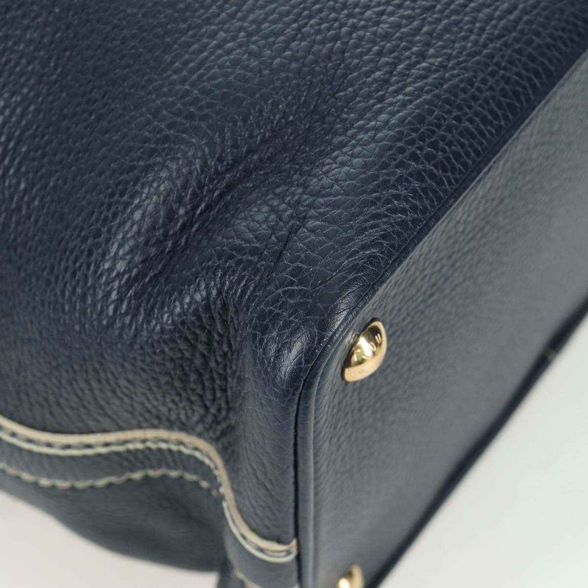 LOUIS VUITTON Tobaco T&B Shoe bag Tote Bag Leather Navy M95149 LV Auth 168317V
