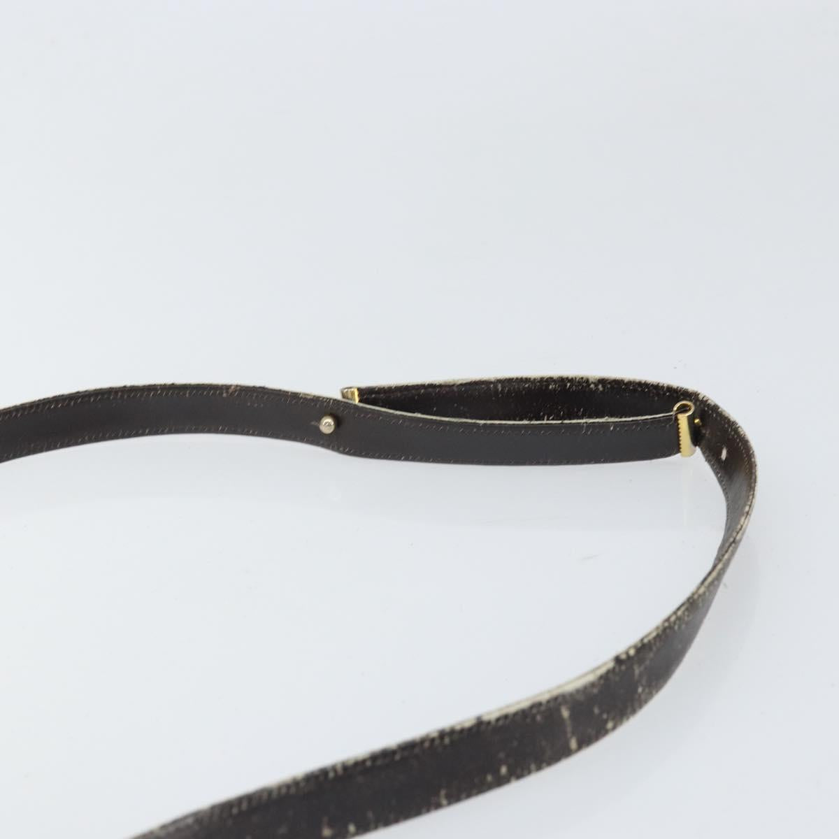 Christian Dior Trotter Canvas Shoulder Bag Brown Gold Auth 168939