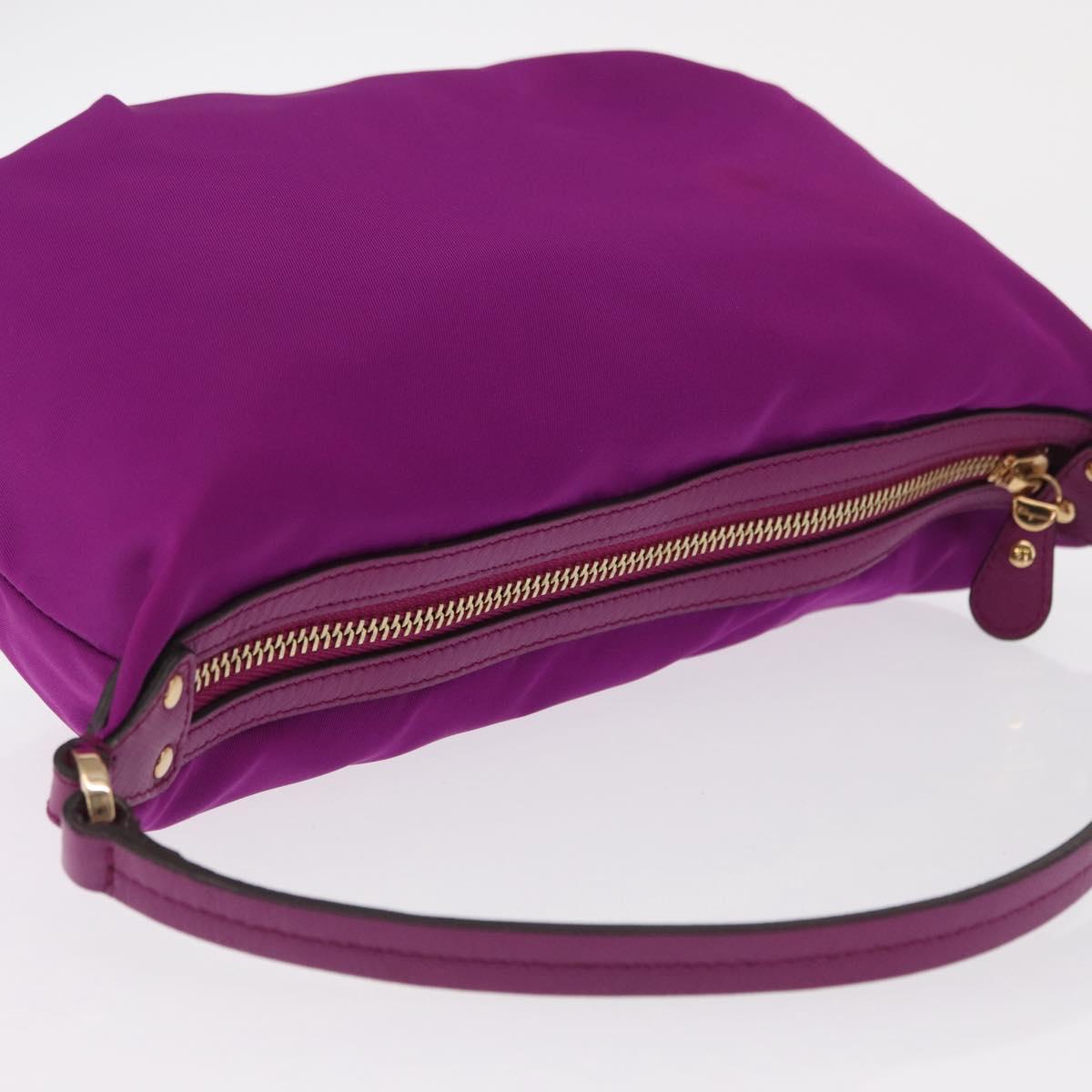 Salvatore Ferragamo Hand Pouch Nylon Purple Gold Auth 169291V