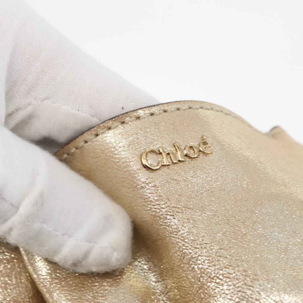 Chloe Elsie Hand Bag Leather 2way Gold Auth 170081