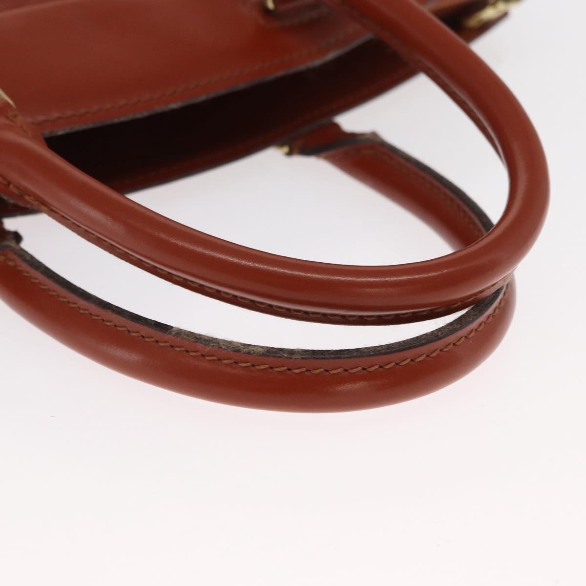 LOUIS VUITTON Epi Riviera Hand Bag Brown M48183 LV Auth 170620