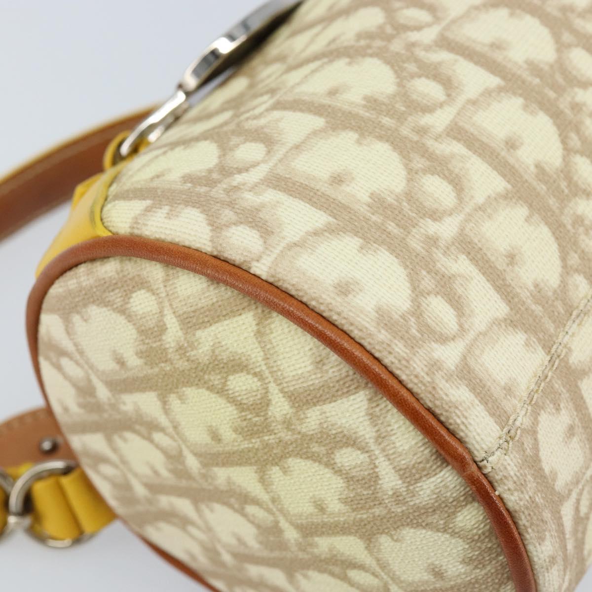 Christian Dior Trotter Canvas Romantic Bag PVC Beige Silver Auth 171447V