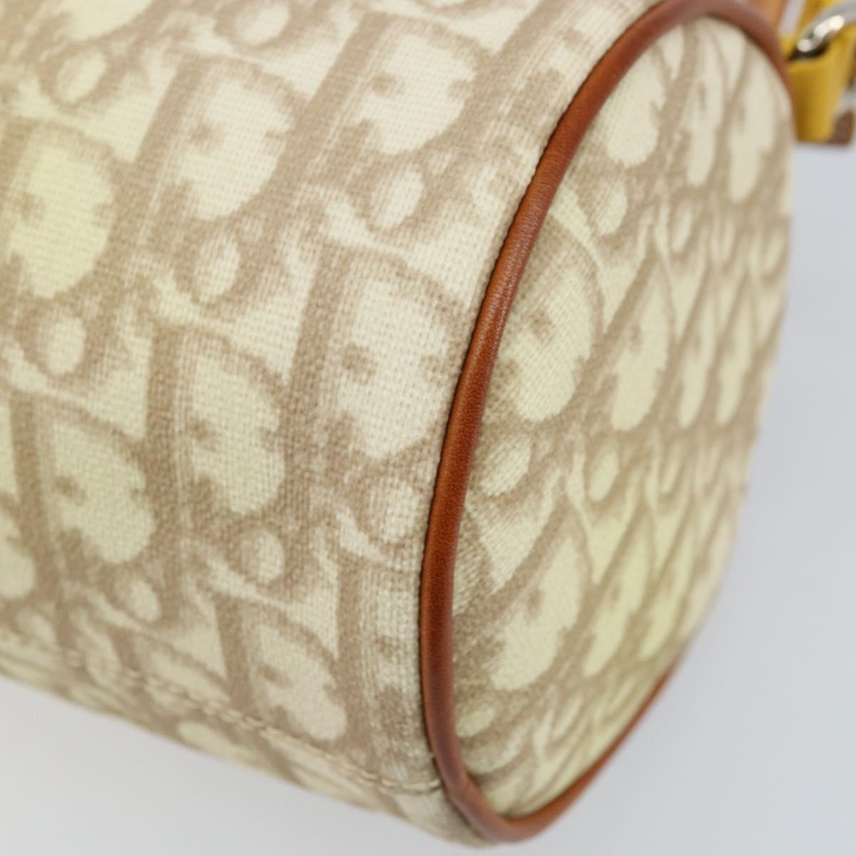 Christian Dior Trotter Canvas Romantic Bag PVC Beige Silver Auth 171447V