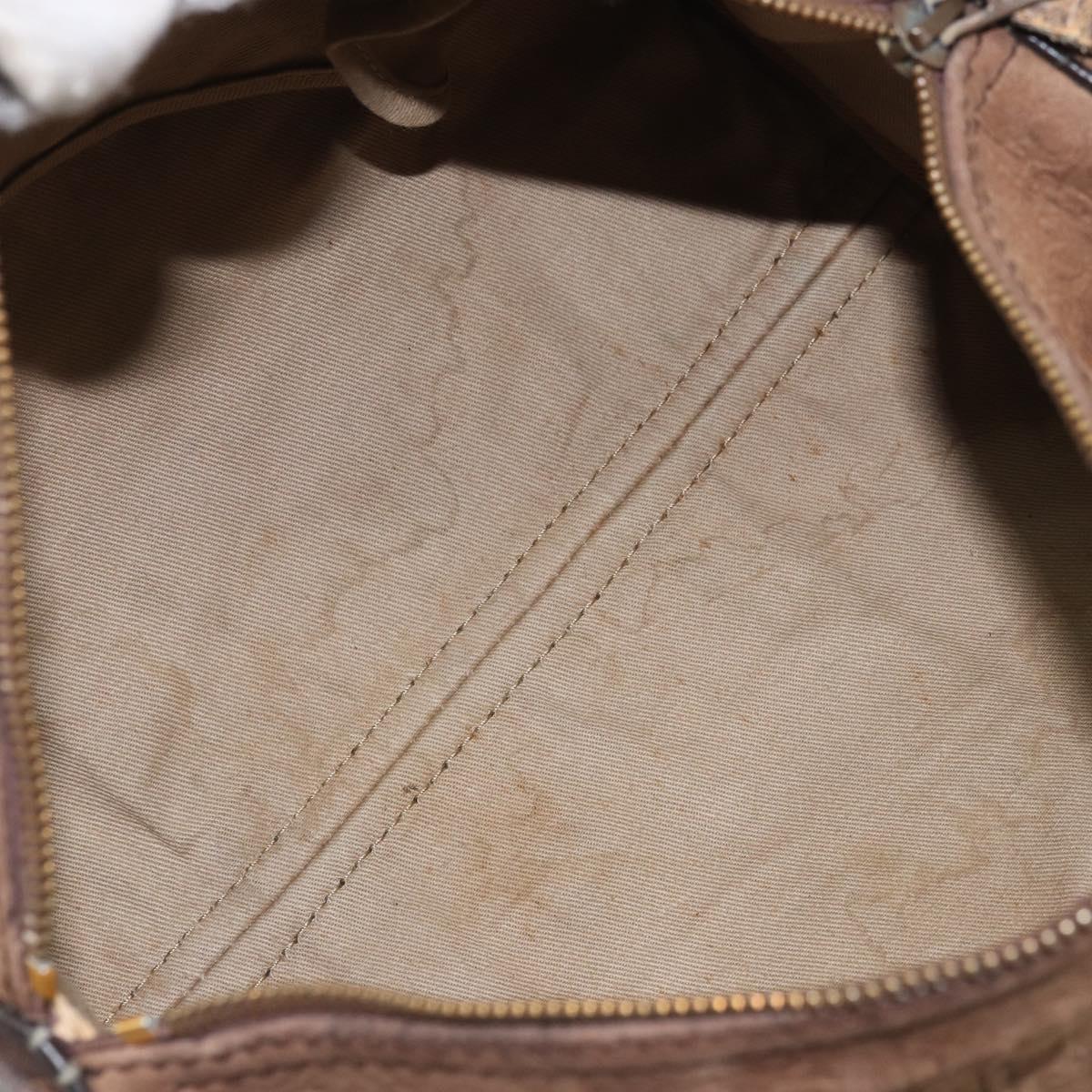 Christian Dior Trotter Canvas Hand Bag Suede Gold Brown Auth 171625