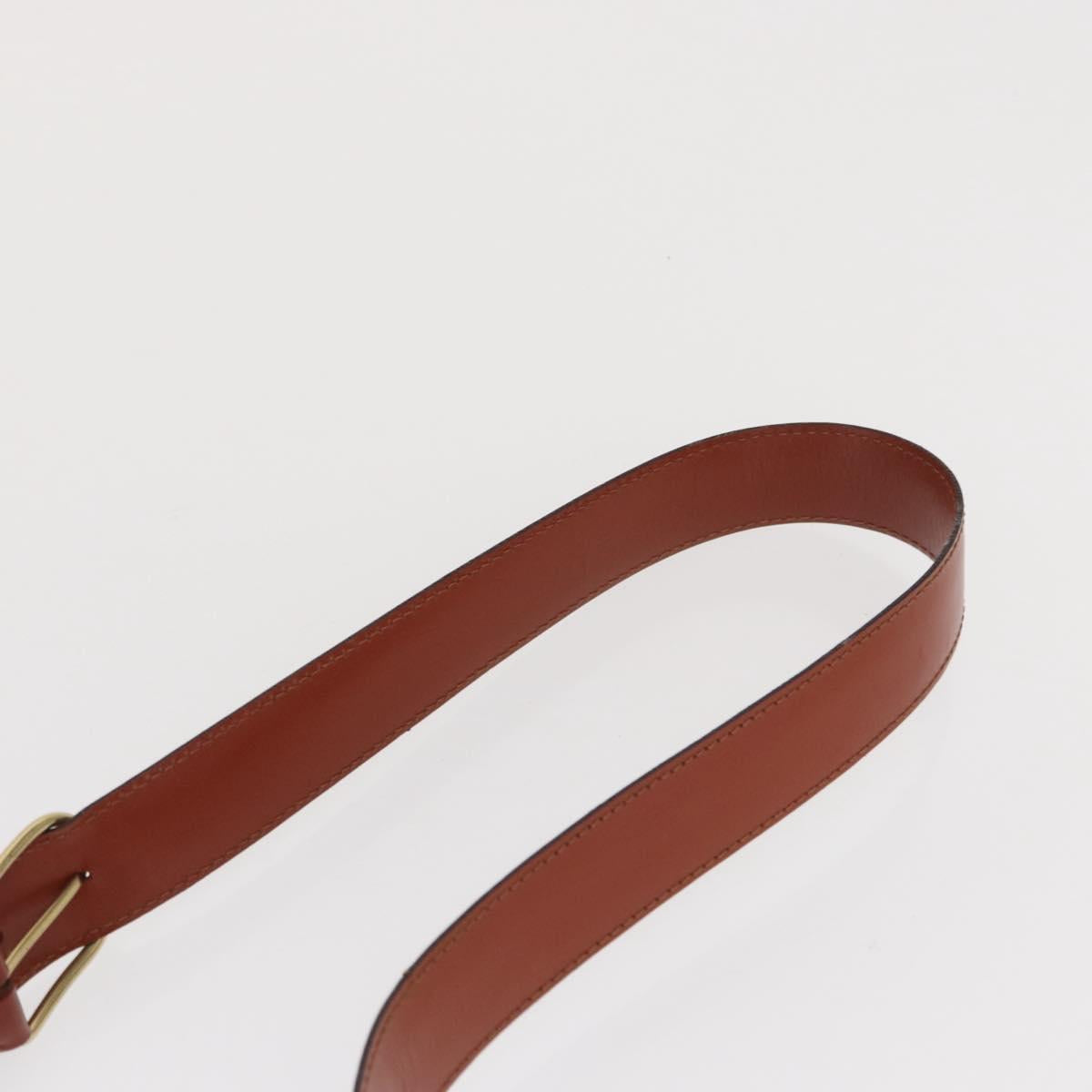 LOUIS VUITTON Epi Sac de Paul PM Shoulder Bag Brown M80203 LV Auth 171685