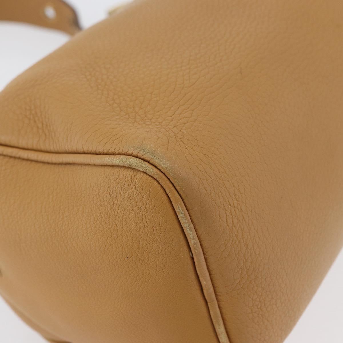 PRADA Shoulder Bag Leather Brown Gold Auth 172272