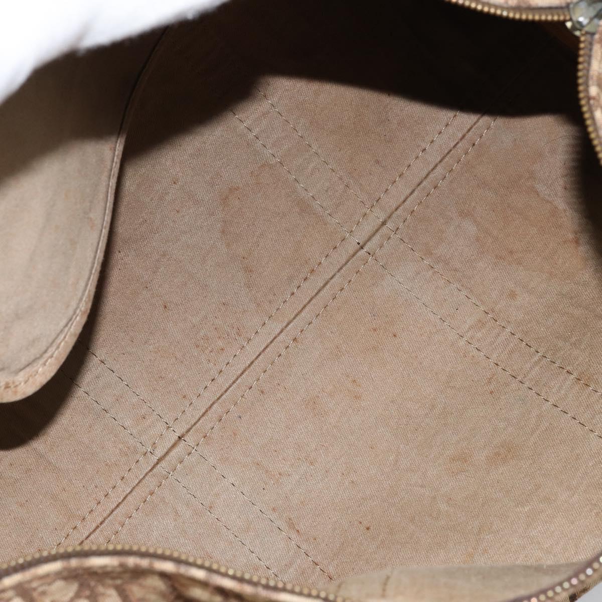 Christian Dior Trotter Canvas Boston Bag Beige Silver Auth 172362