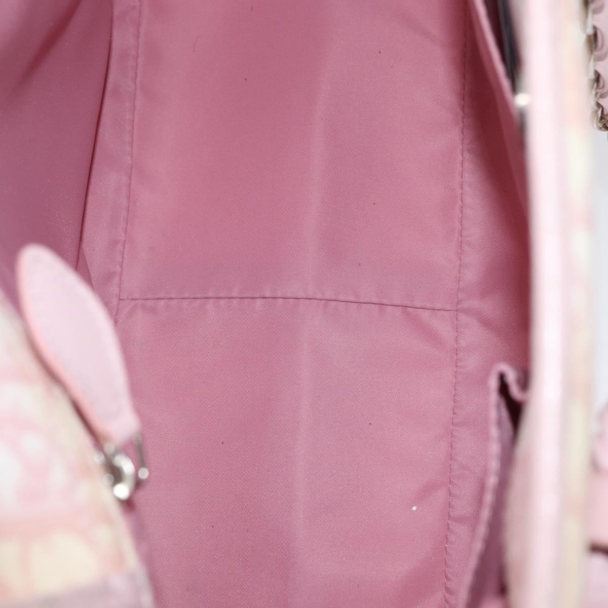 Christian Dior Trotter Canvas Chain Romantic Bag PVC Pink Silver Auth 172531