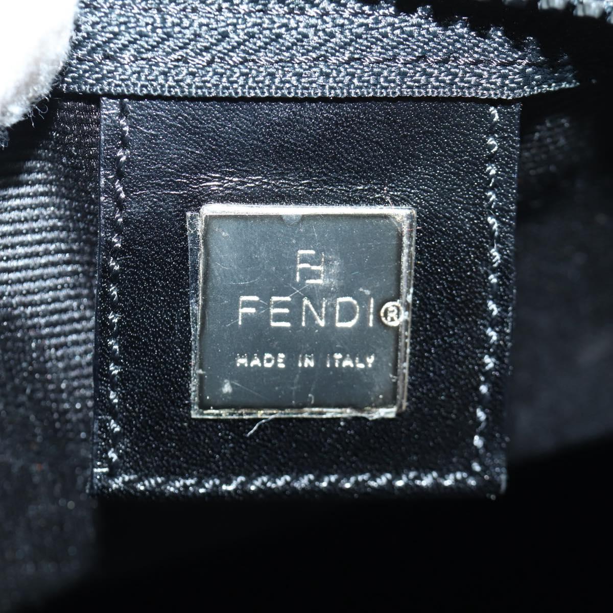 FENDI Hand Bag Nylon Black Silver Auth 172972V