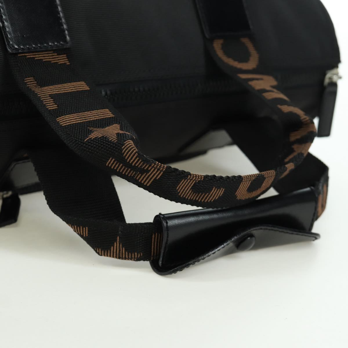 FENDI Hand Bag Nylon Black Silver Auth 172972V