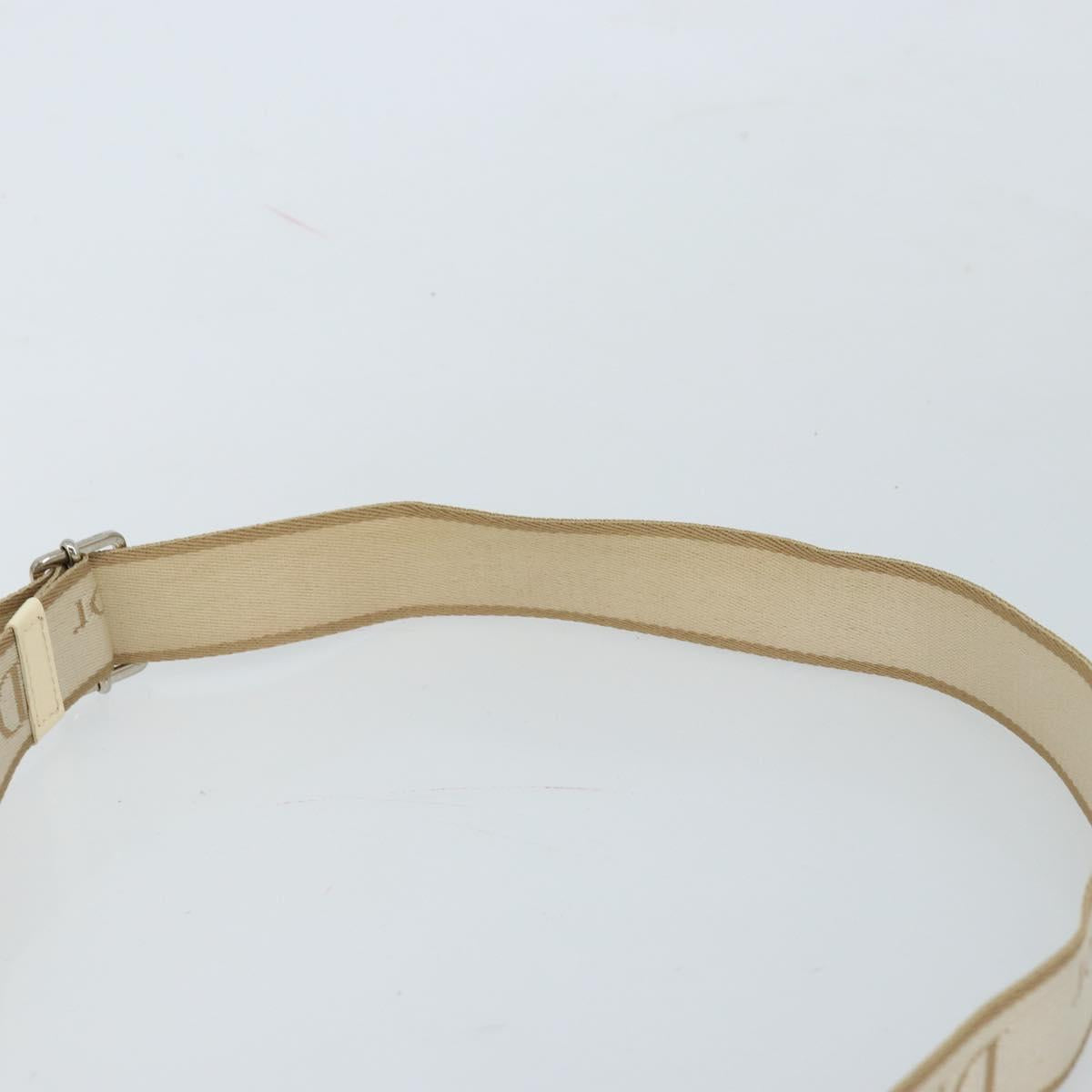 Christian Dior Trotter Canvas Shoulder Bag PVC Ivory Silver Auth 173352V