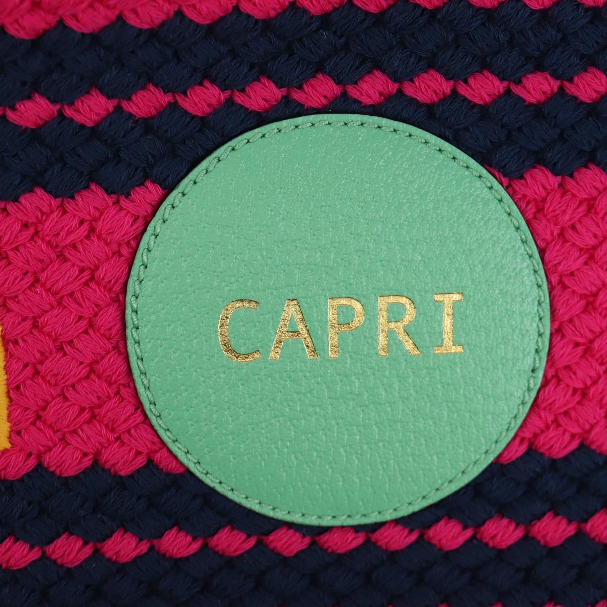 GUCCI Resort Collection Capri Bag Knitted Fabrics 2way 663709 Auth 173375SAM
