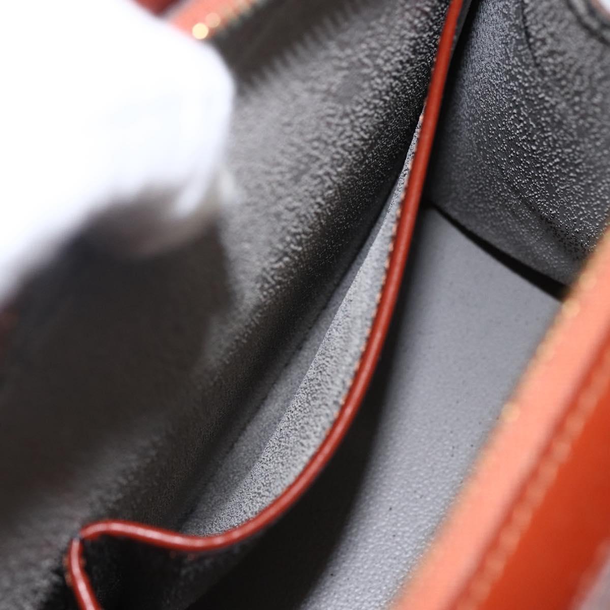 LOUIS VUITTON Epi Riviera Hand Bag Brown M48183 LV Auth 173572