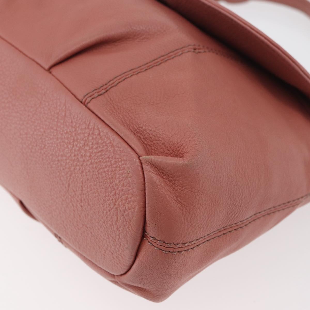 BURBERRY Blue Label Shoulder Bag Leather Pink Gold Auth 175055A