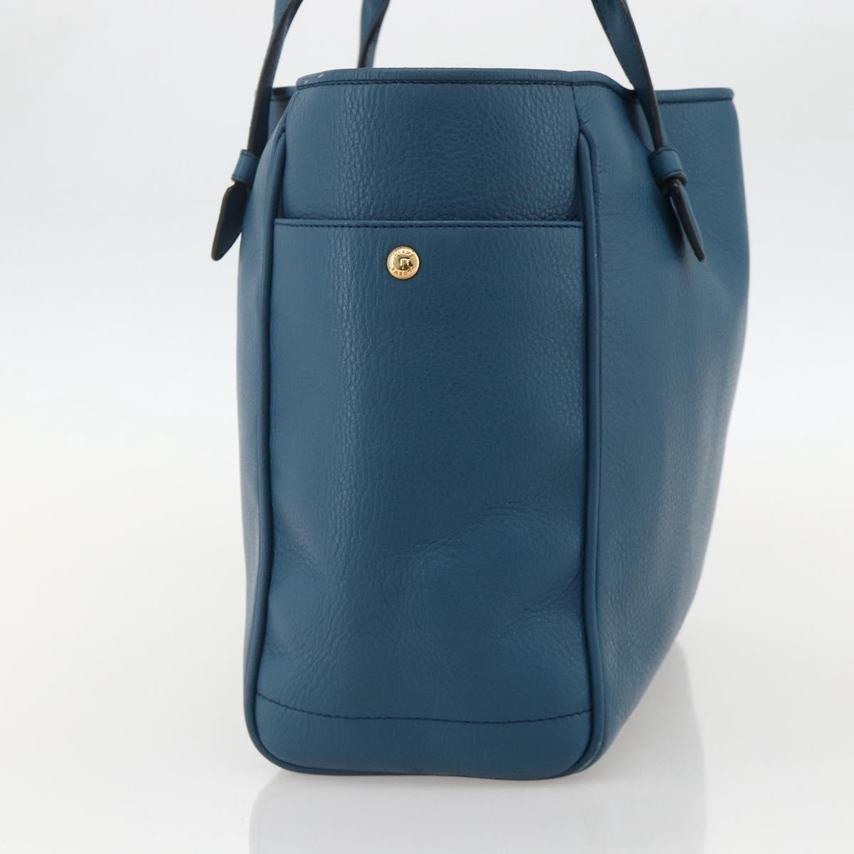 LOEWE Heritage Tote Bag Leather Gold Blue Auth 175236A