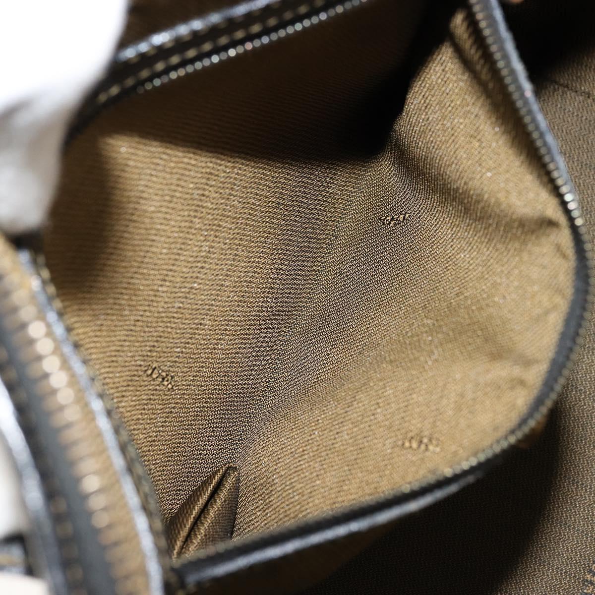 FENDI Zucca Canvas Hand Bag Brown Black Auth 175903