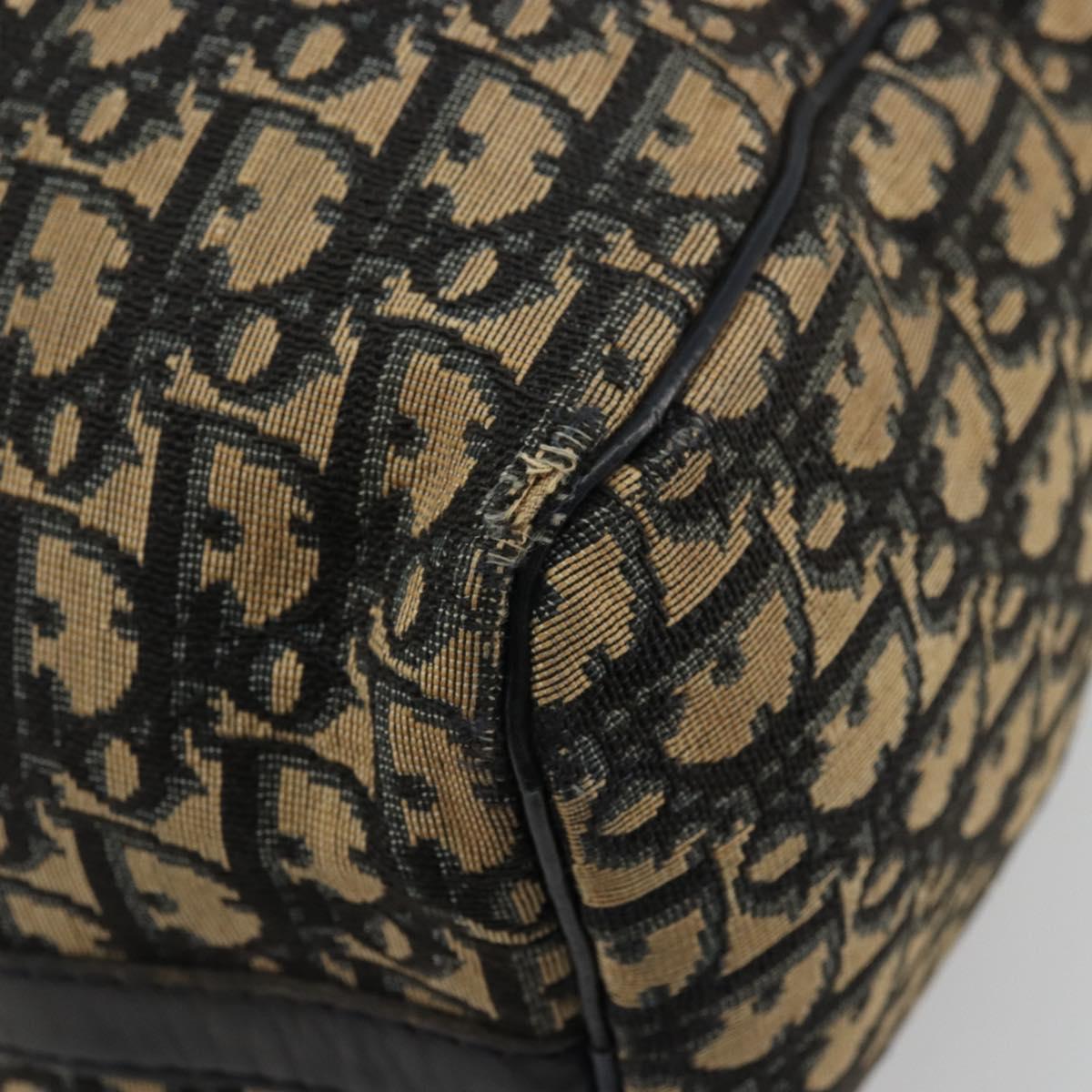 Christian Dior Trotter Canvas Hand Bag Navy Silver Auth 176139