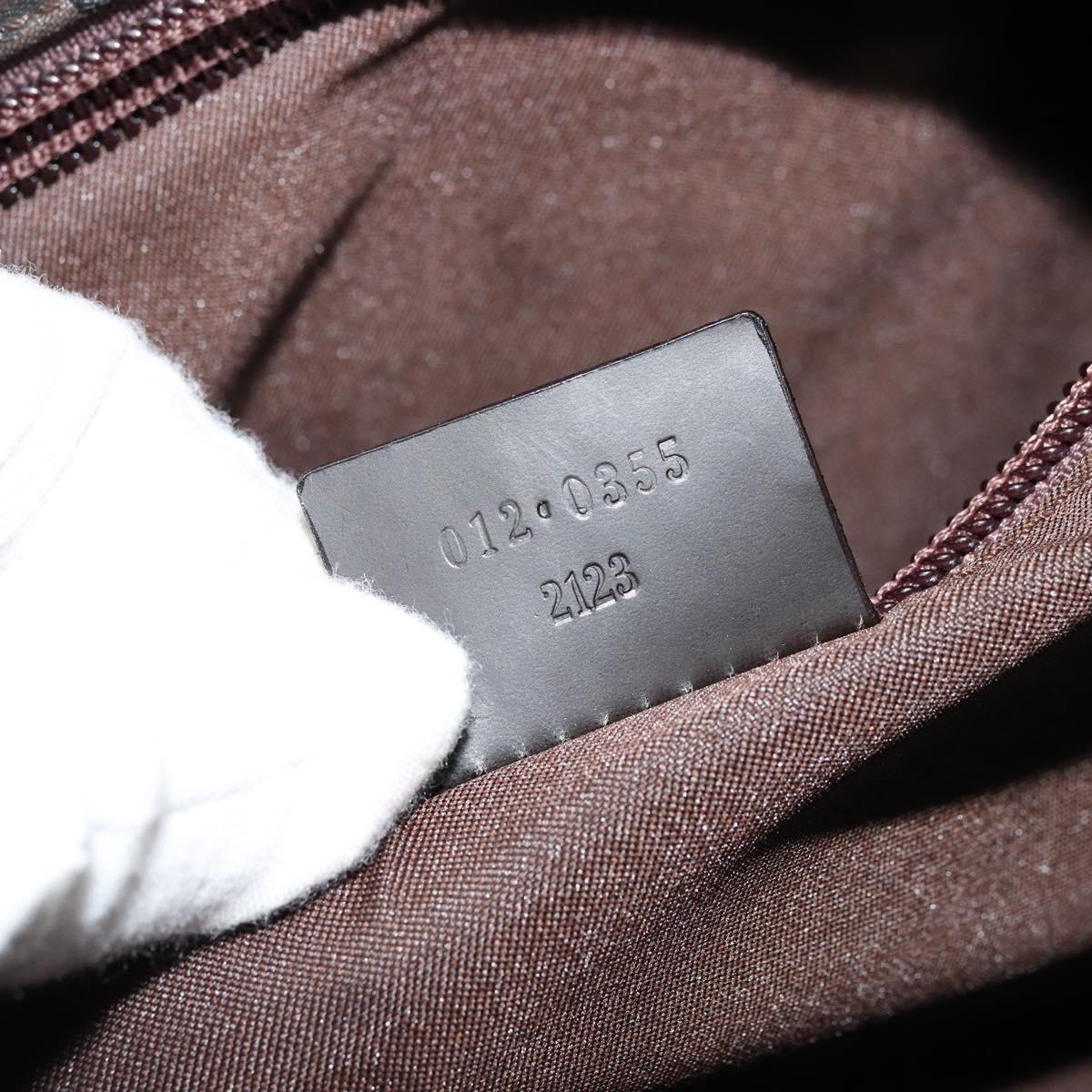 GUCCI GG Canvas Hand Bag Nylon Brown Silver 012 0355 Auth 176286A