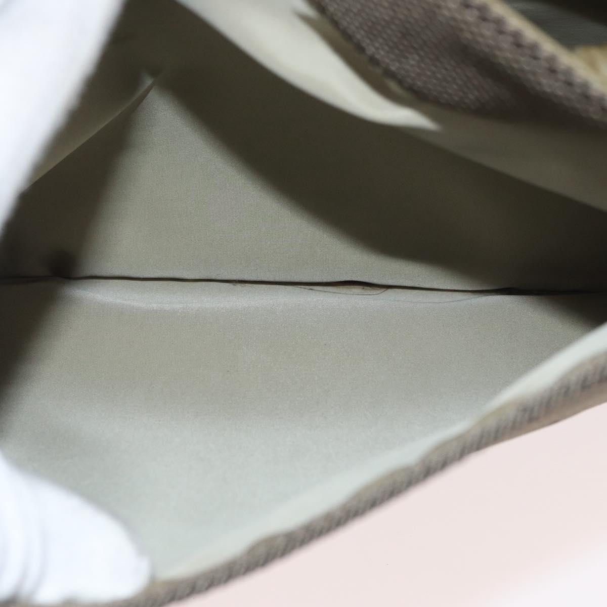 LOUIS VUITTON Damier Geant Messager Shoulder Bag Tail M93030 LV Auth 176308