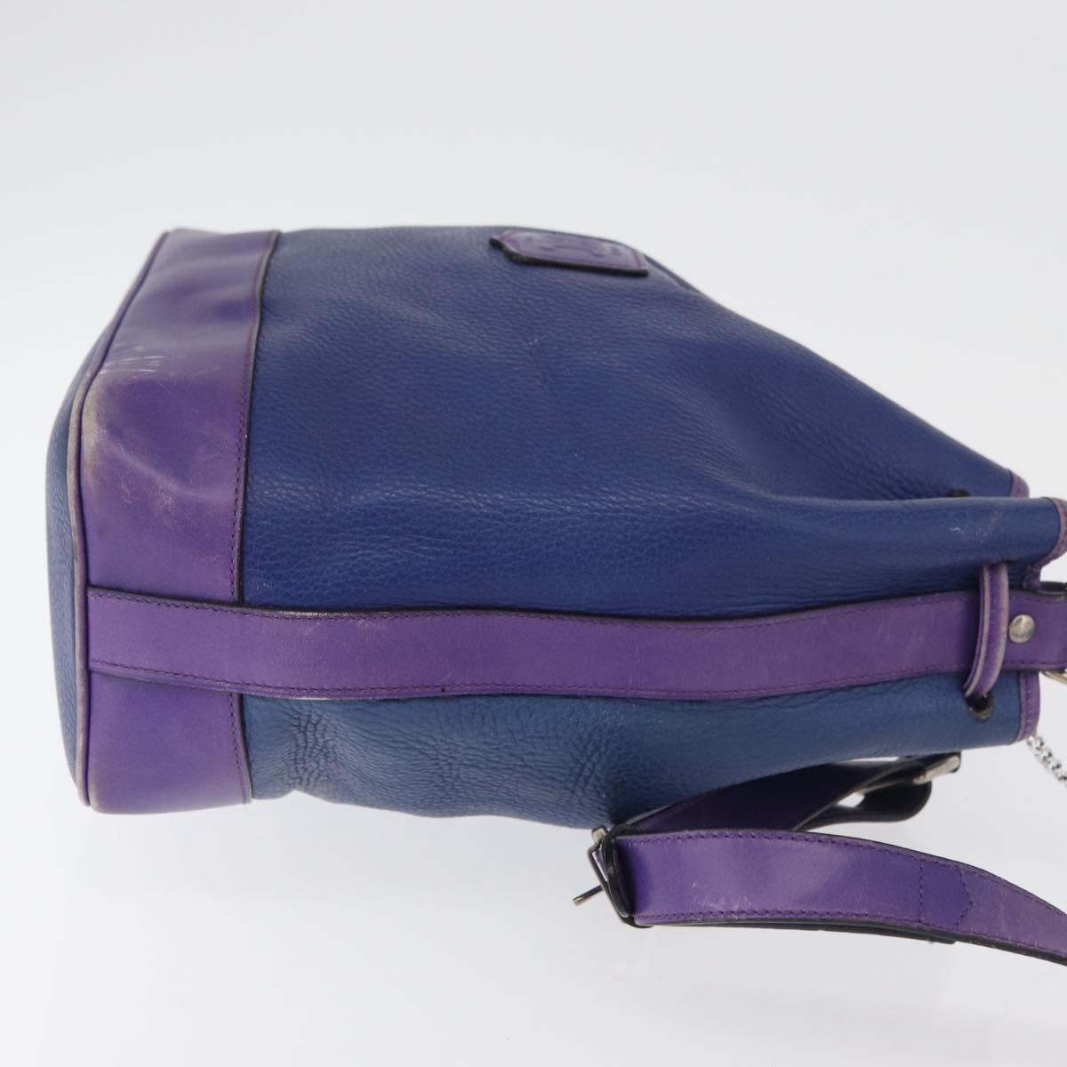 CELINE Shoulder Bag Leather Blue Silver Auth 177062