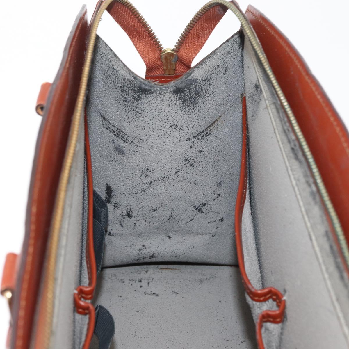 LOUIS VUITTON Epi Riviera Hand Bag Brown M48183 LV Auth 177065