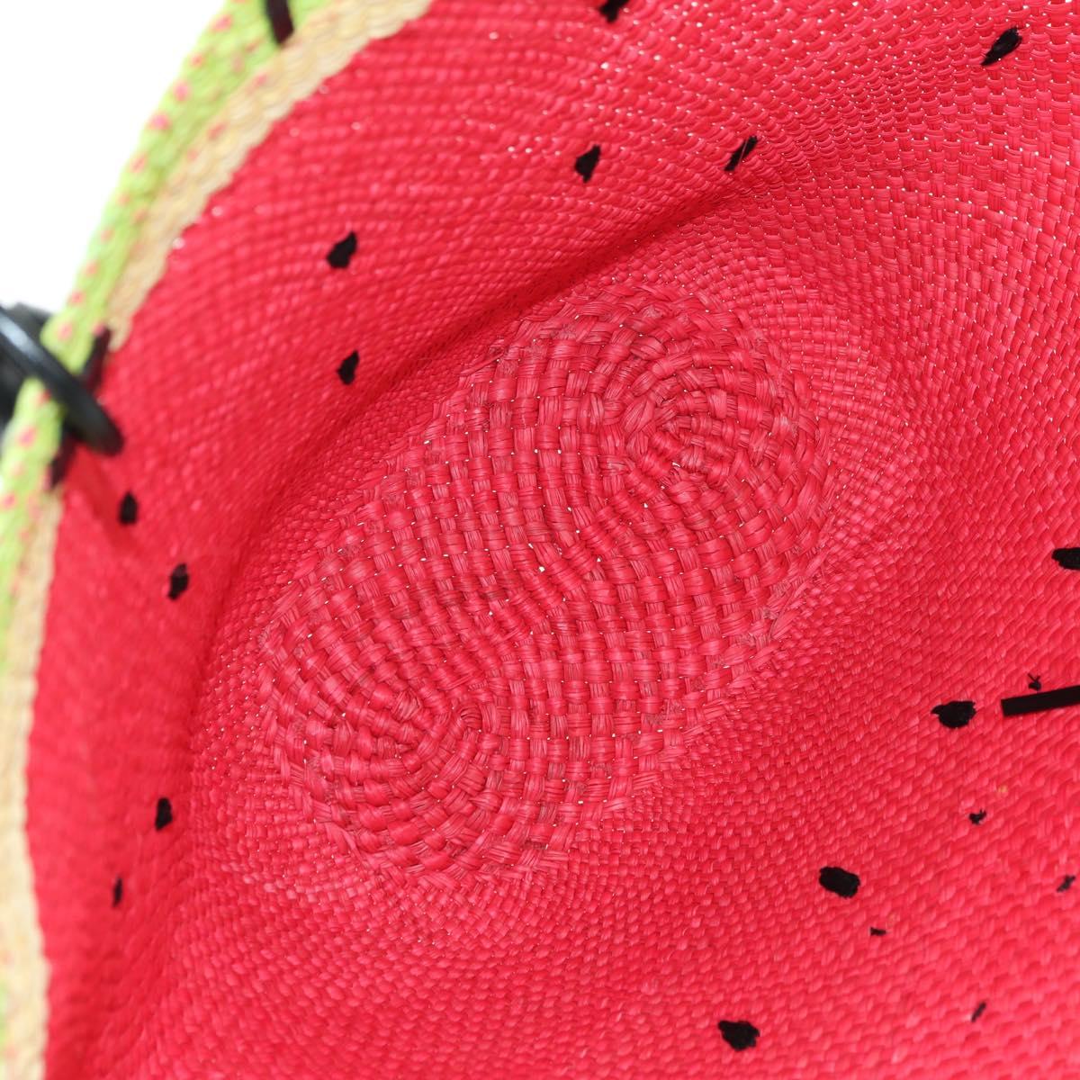 LOEWE Watermelon Tote Bag Raffia 2way Red Auth 177114SAV