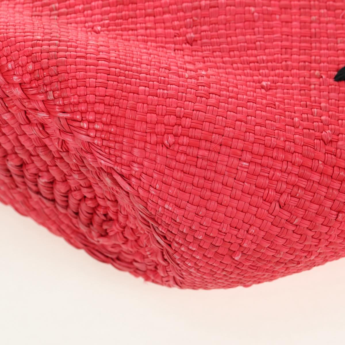 LOEWE Watermelon Tote Bag Raffia 2way Red Auth 177162SAV