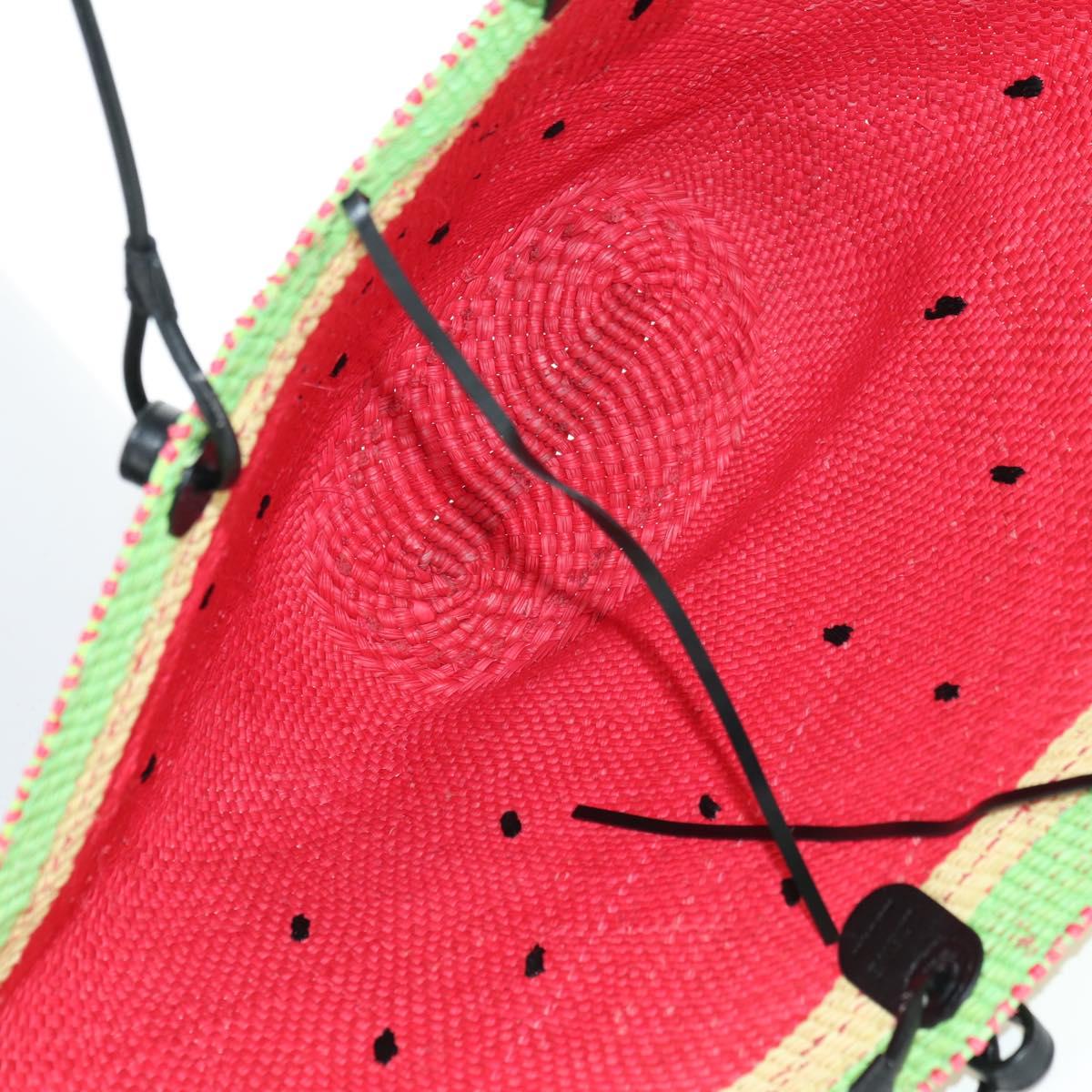 LOEWE Watermelon Tote Bag Raffia 2way Red Auth 177162SAV