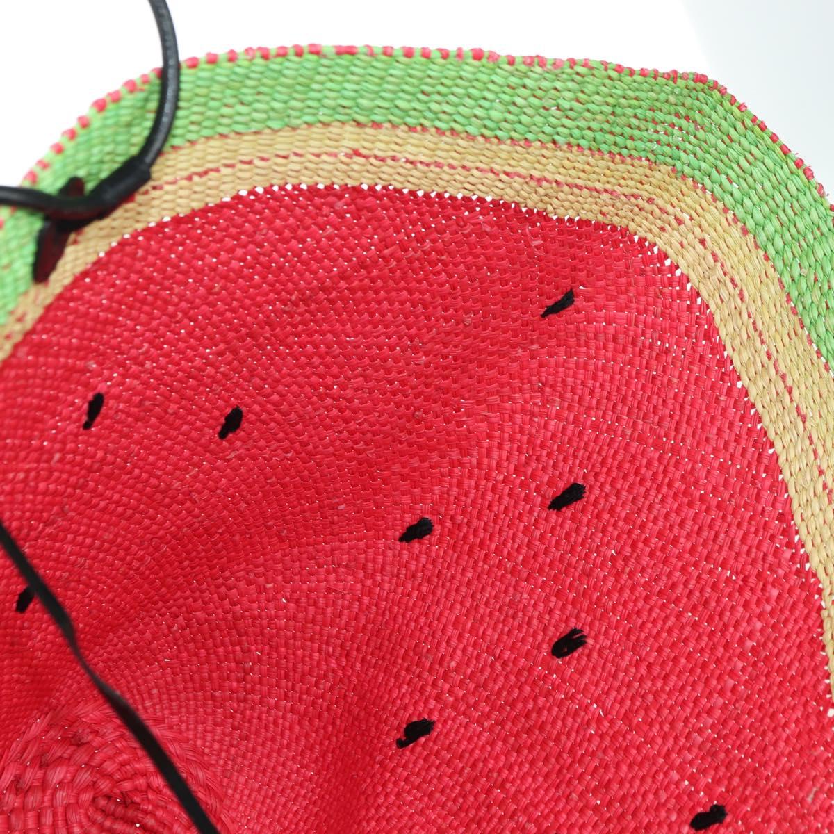 LOEWE Watermelon Tote Bag Raffia 2way Red Auth 177162SAV