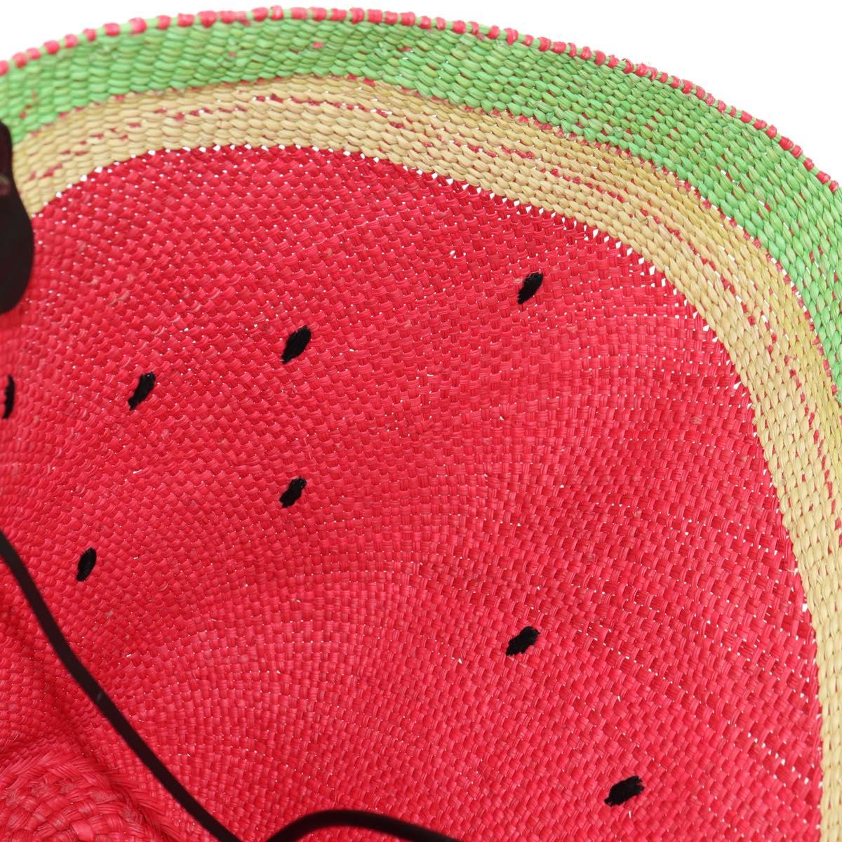 LOEWE Watermelon Tote Bag Raffia 2way Red Auth 177162SAV