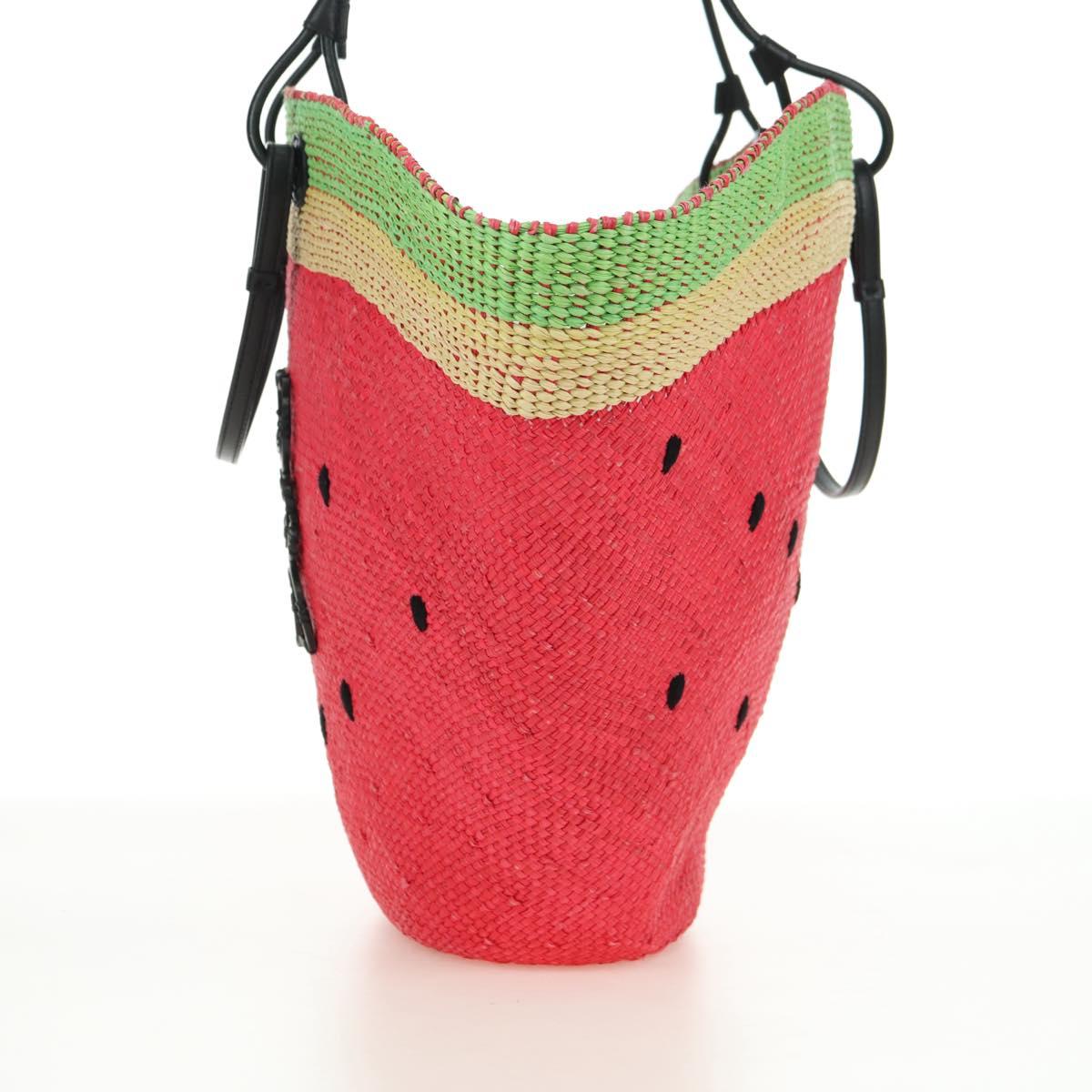 LOEWE Watermelon Tote Bag Raffia 2way Red Auth 177162SAV