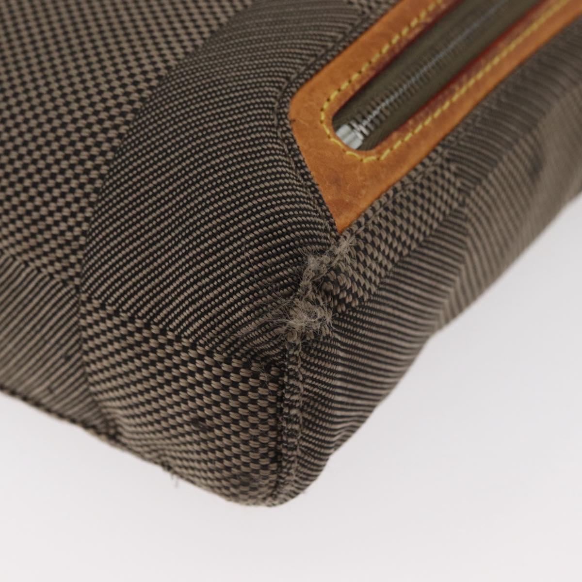LOUIS VUITTON Damier Geant Sitadan PM Shoulder Bag Tail M93043 LV Auth 177228