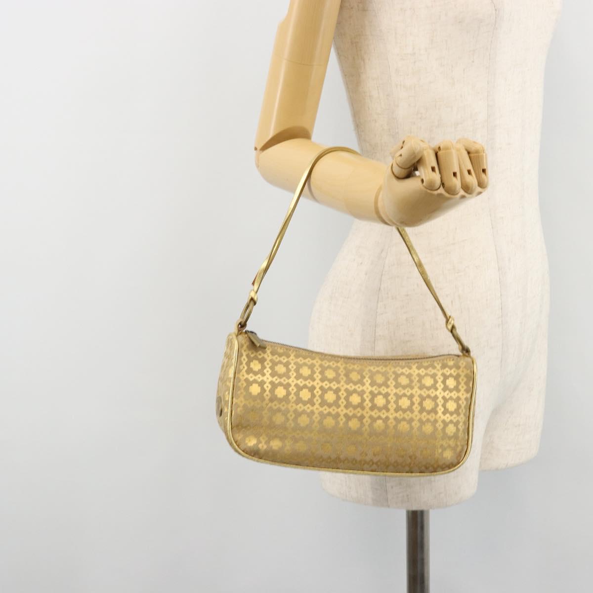 CELINE Shoulder Bag Suede Gold Auth 177291A