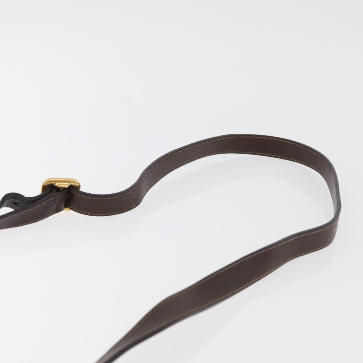 PRADA Shoulder Bag Canvas Brown Gold Auth 177488A