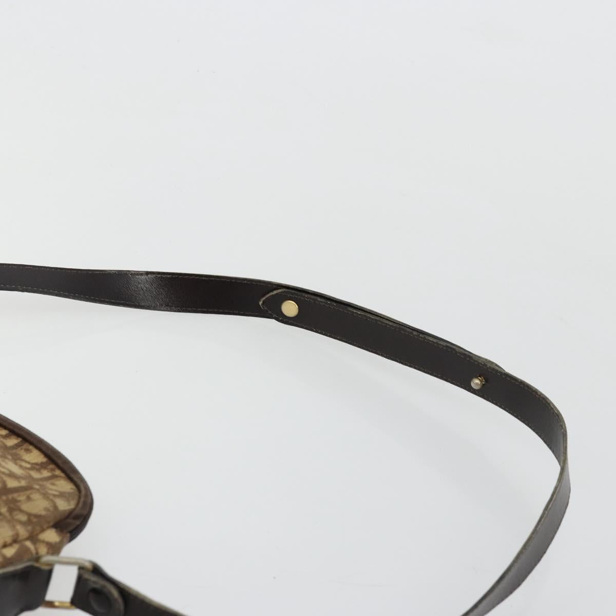 Christian Dior Trotter Canvas Shoulder Bag Brown Gold Auth 177825