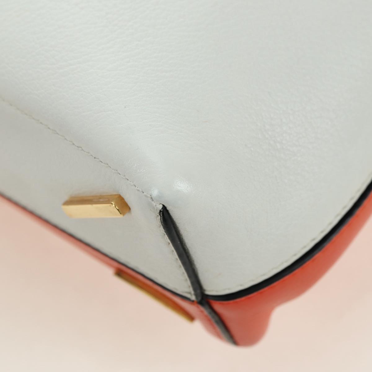 LOEWE Shoulder Bag Leather 2way White Gold Auth 177982SM