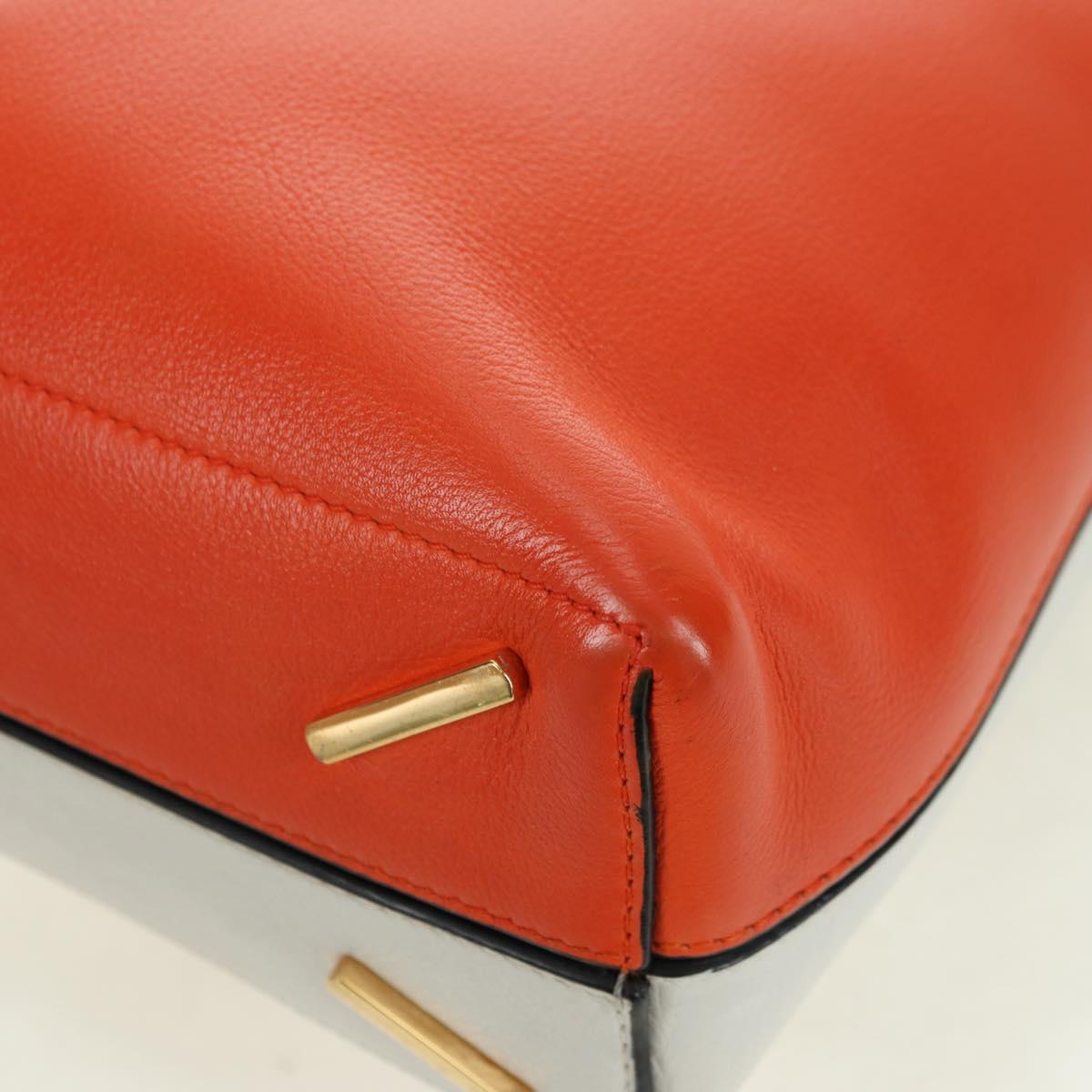 LOEWE Shoulder Bag Leather 2way White Gold Auth 177982SM