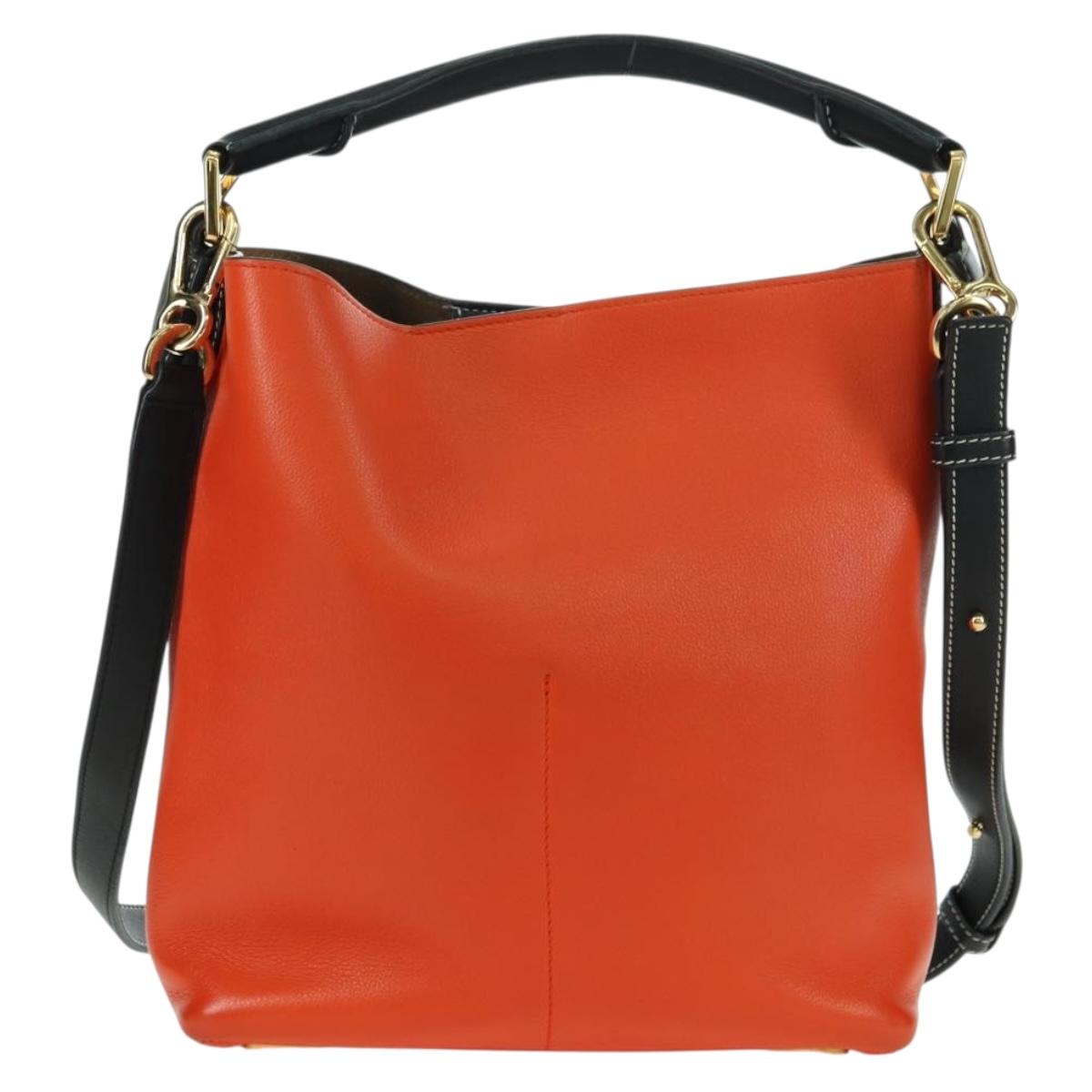 LOEWE Shoulder Bag Leather 2way White Gold Auth 177982SM