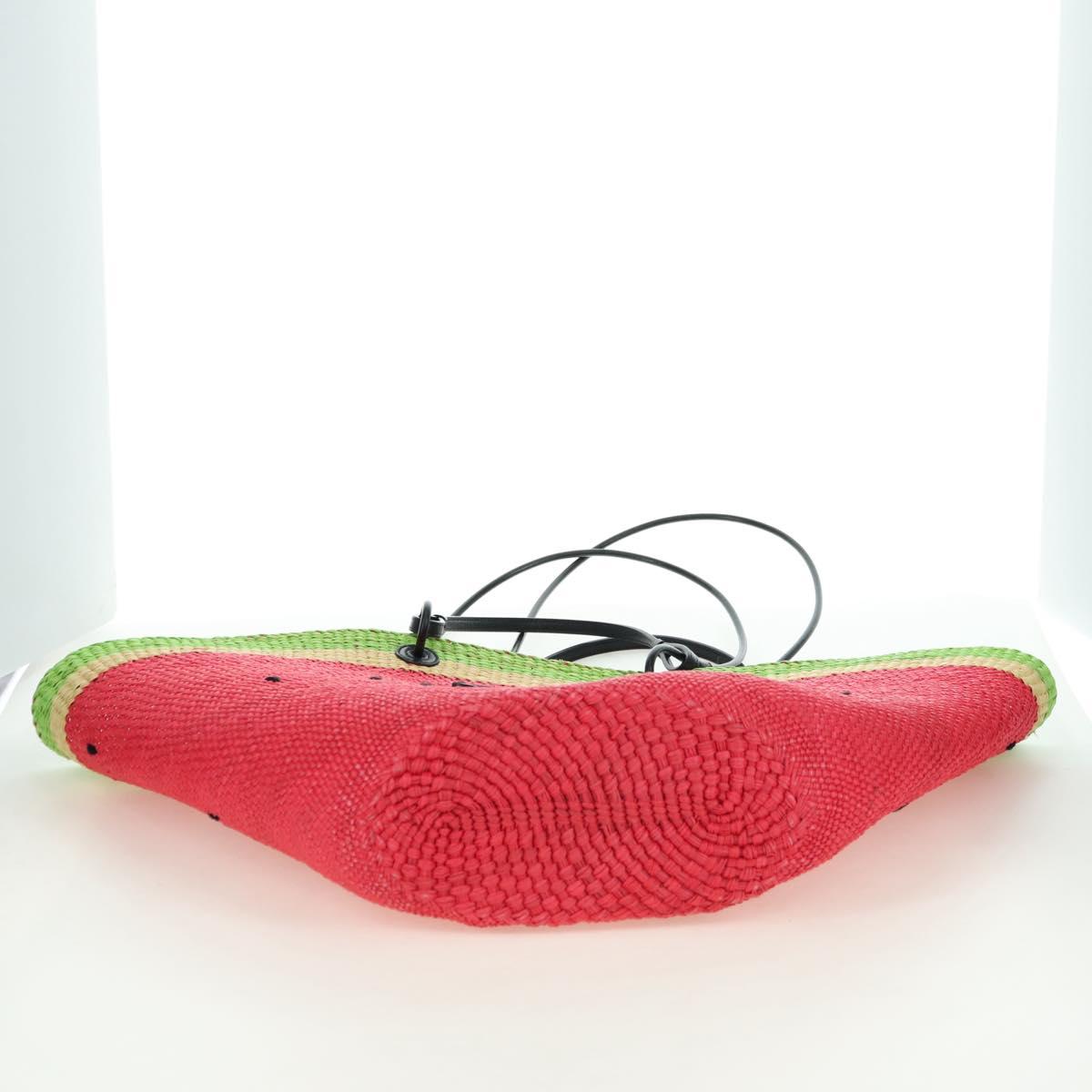 LOEWE Watermelon Tote Bag Raffia 2way Red Auth 178041SM