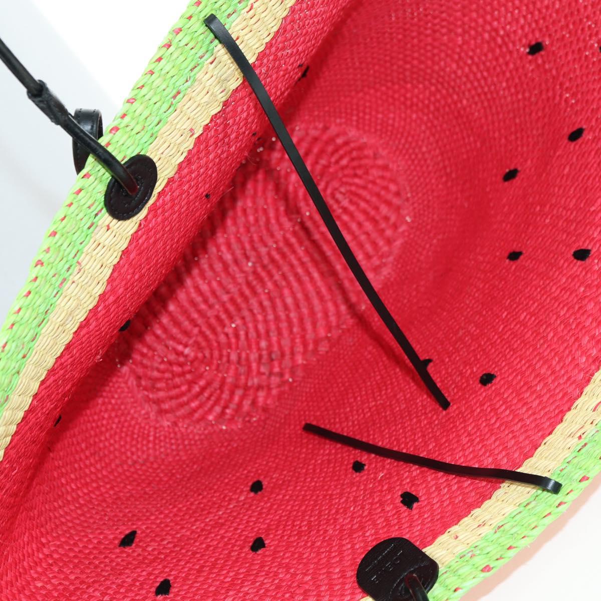 LOEWE Watermelon Tote Bag Raffia 2way Red Auth 178041SM